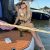 ESCORT-ATHENS-ANNA-BLOND-ESCORTS-GREECE-5