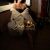KARINA-LITHUANIAN-ESCORTS-3